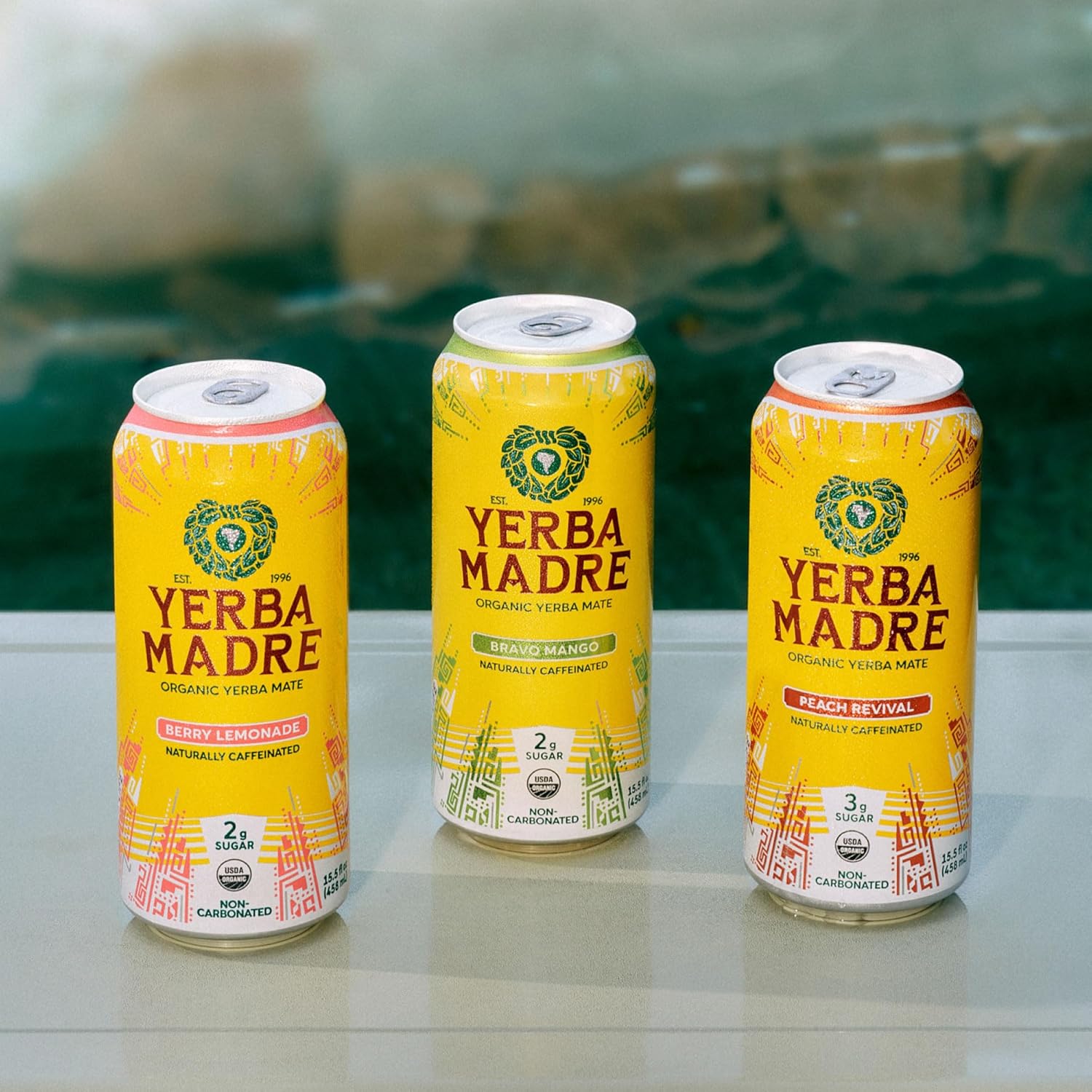 Yerba Madre Organic Yerba Mate, Energy Drink Alternative, Lower-Sugar Variety Pack, 150mg Plant Based Caffeine, Smooth Energy & Focus, No Jitters or Crash, 15.5oz Cans (Pack of 12)